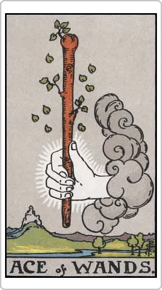 ไพ่เอซแห่งไม้เท้า (Ace of Wands)