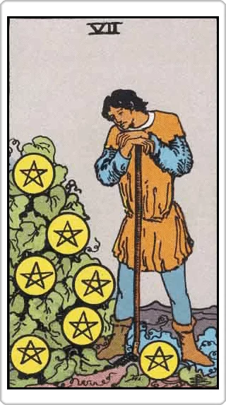 ไพ่เจ็ดแห่งเหรียญ (Seven of Pentacles)